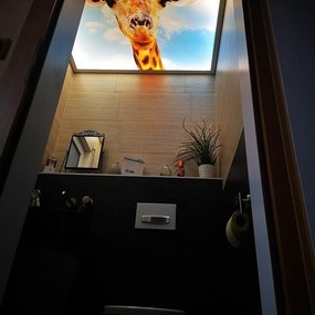 Kleine moderne Toilette mit Giraffenmotiv an der Decke und stilvoller Dekoration.