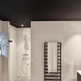 Modernes Badezimmer mit weiß gefliesten Wänden, Regendusche, Handtuchheizkörper und Zimmerpflanze.